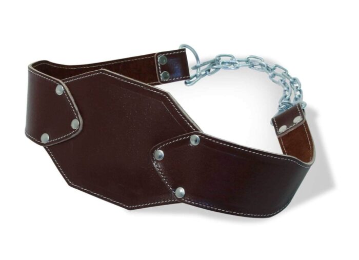PowerChain Dipping Belts