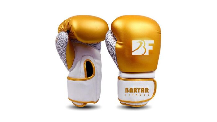 SteelBound Boxing Gloves